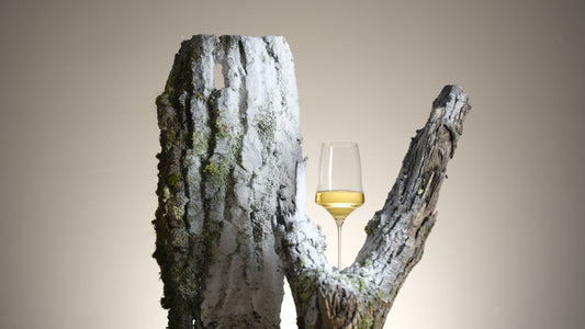 About Sauvignon Blanc