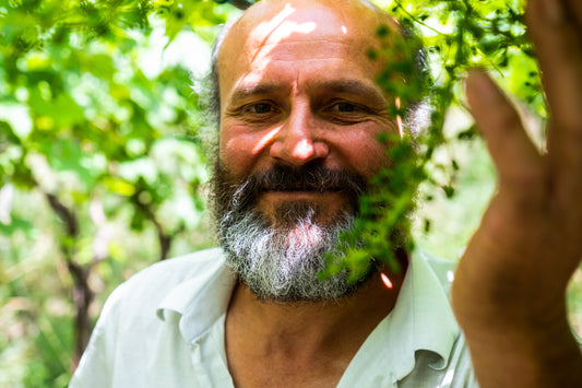 l’Archetipo - From Soil to Glass