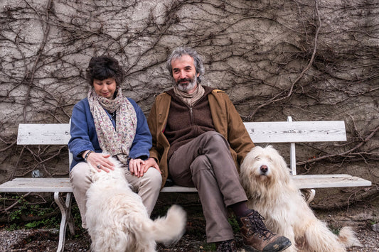Pech d'André - A Farm on a Hill