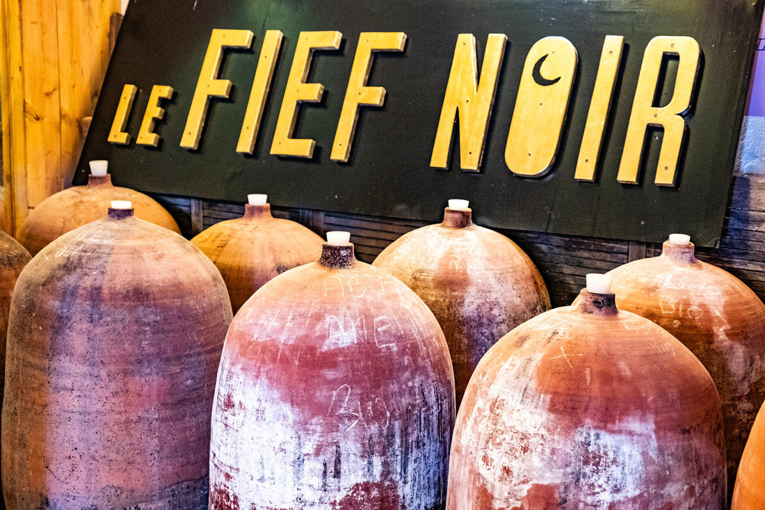 From Soils, Come Wine