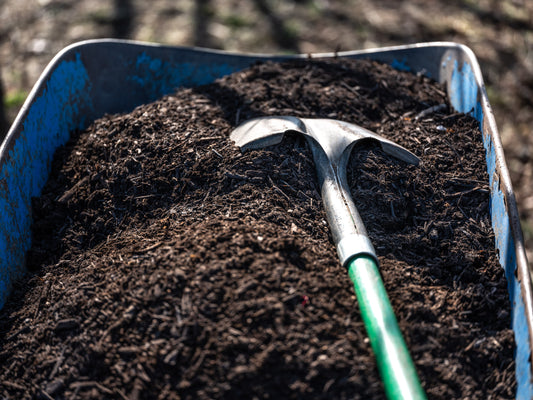 The Hidden World of Soil