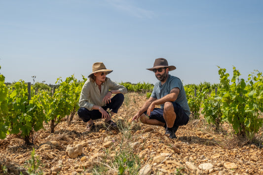 3 Practices to Regenerate Soil