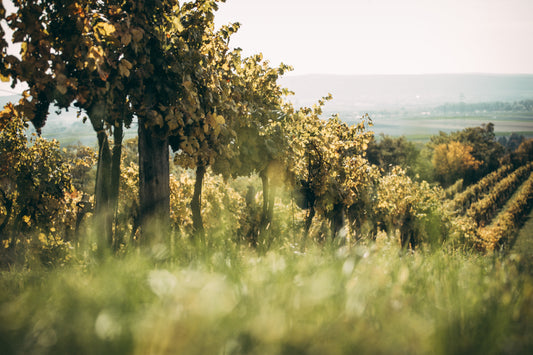Burgenland