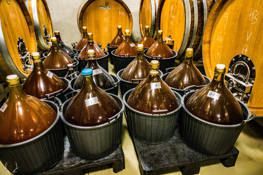 Dry Farm Wines visits Natural Wine Grower Claus Preisenger’s wine cellar in Austria