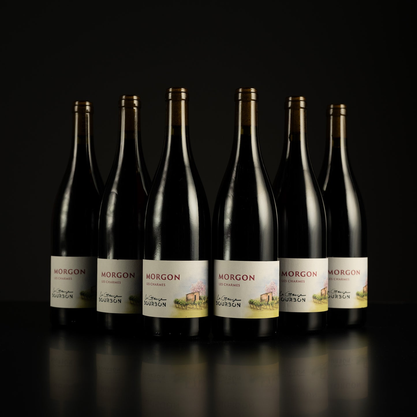 Row of Morgon wine bottles with labels on a black background