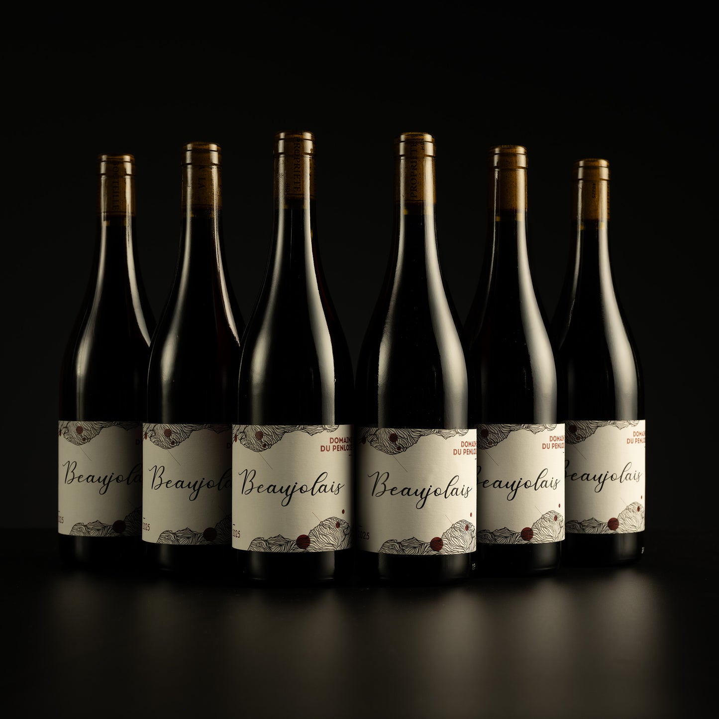 Row of Beaujolais wine bottles on a black background