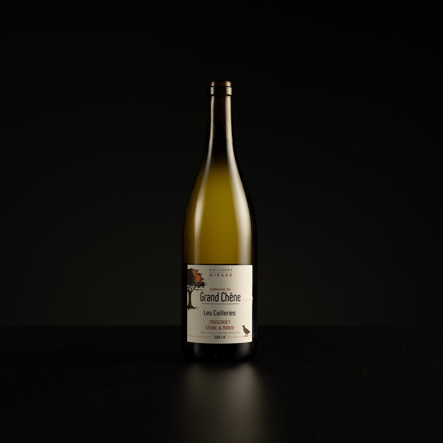 Wine bottle with a label on a black background