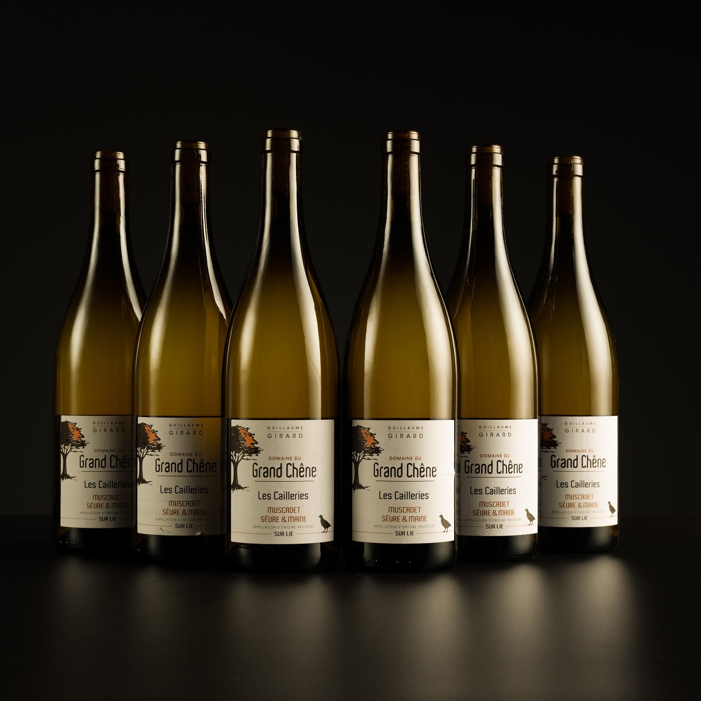 Row of Grand Chefe wine bottles on a black background
