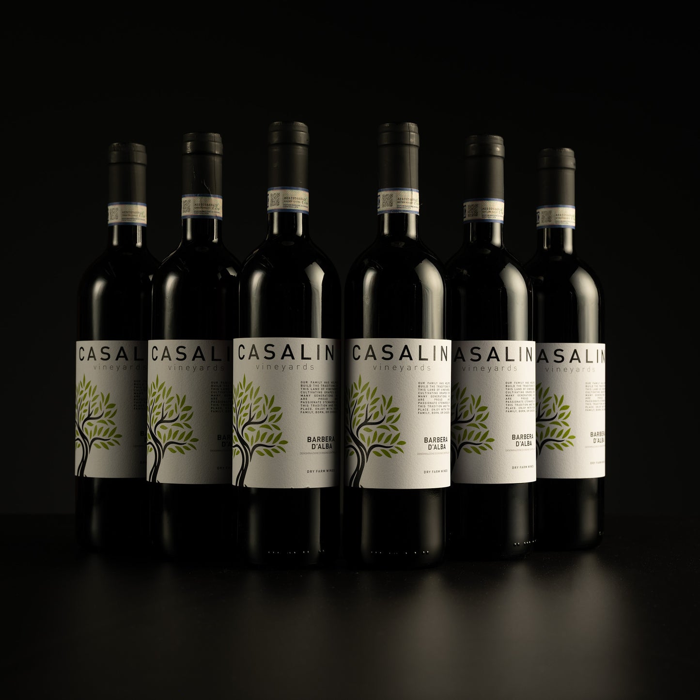 2024 Casalin Vineyards Barbera d'Alba