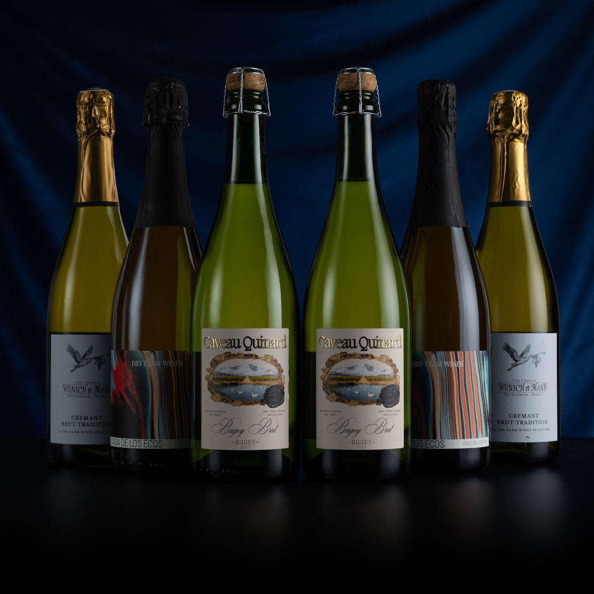 Six sparkling wine bottles from the brand Vieux Fossas are lined up on a dark surface against a deep blue draped background. The bottles include different styles and colors, including green, gold, and black, with some featuring gold foil and others black, all displaying the Vieux Fossas label.