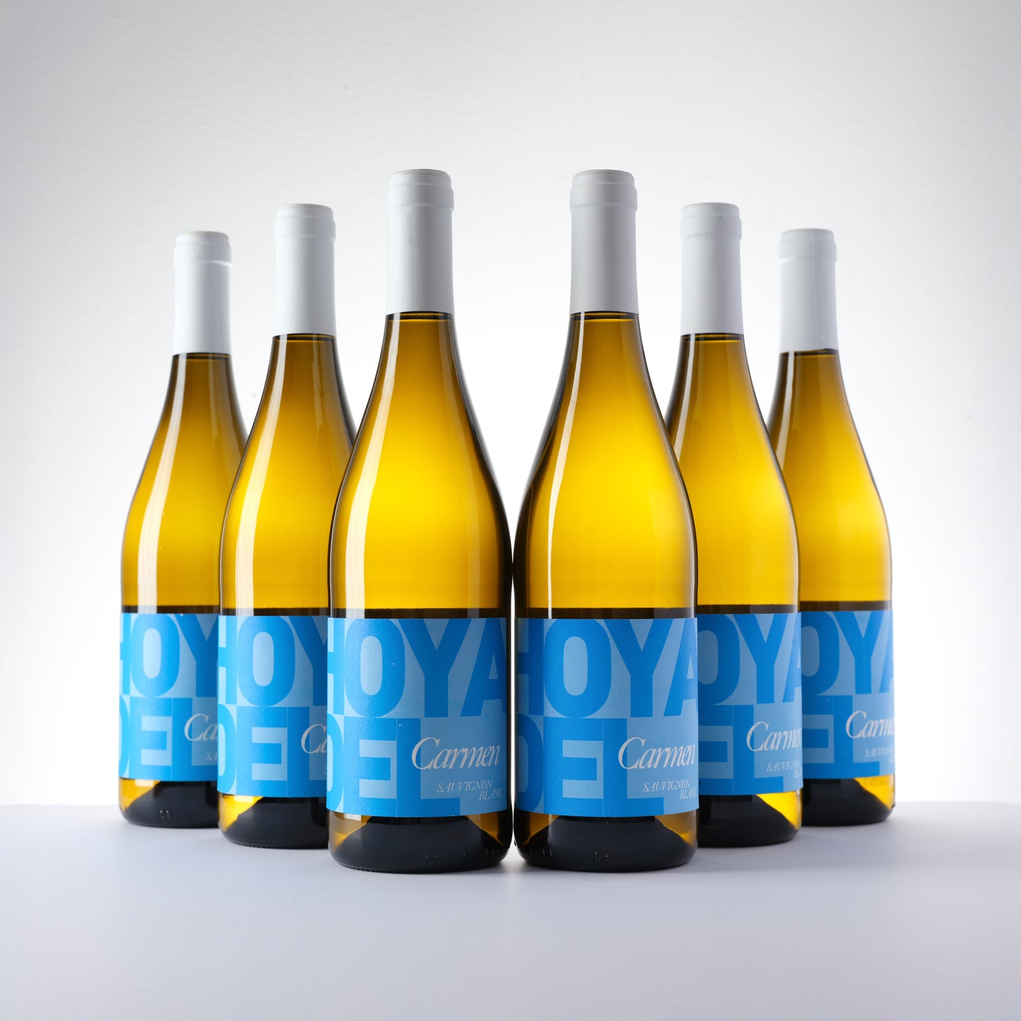 2023 Vegatolosa Sauvignon Blanc