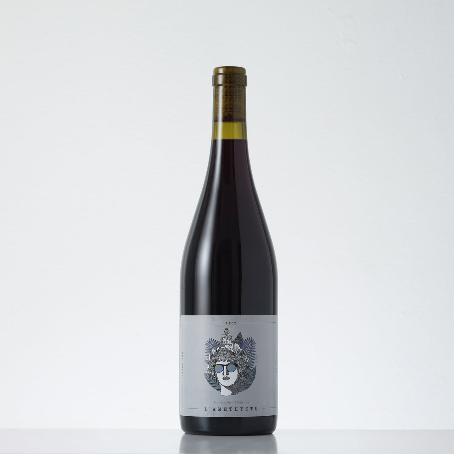 2024 Domaine Michel Guignier l'Amethyste Beaujolais