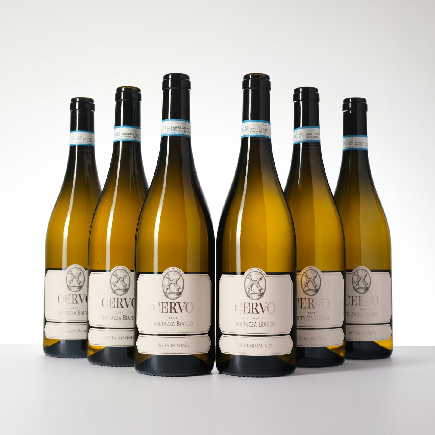 Cervo: An Italian Duo