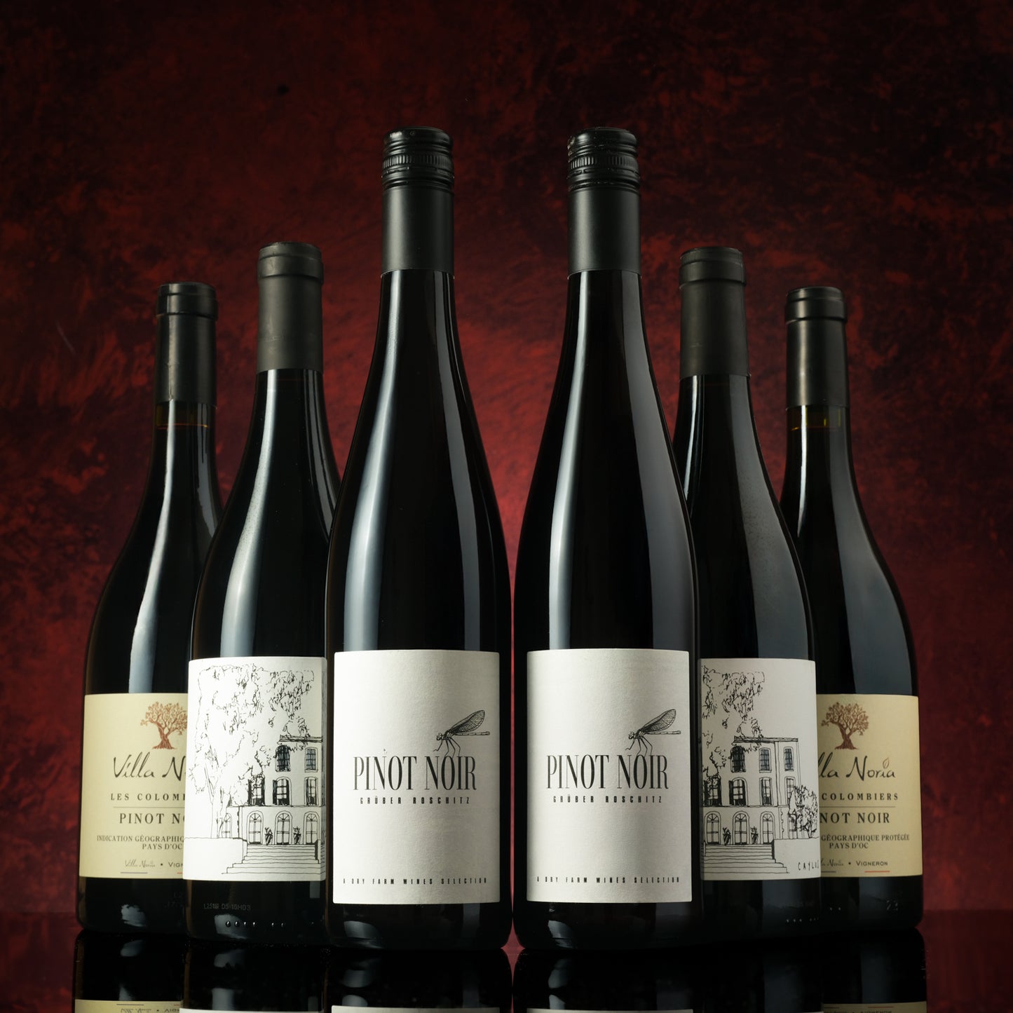 Purely Pinot Noir