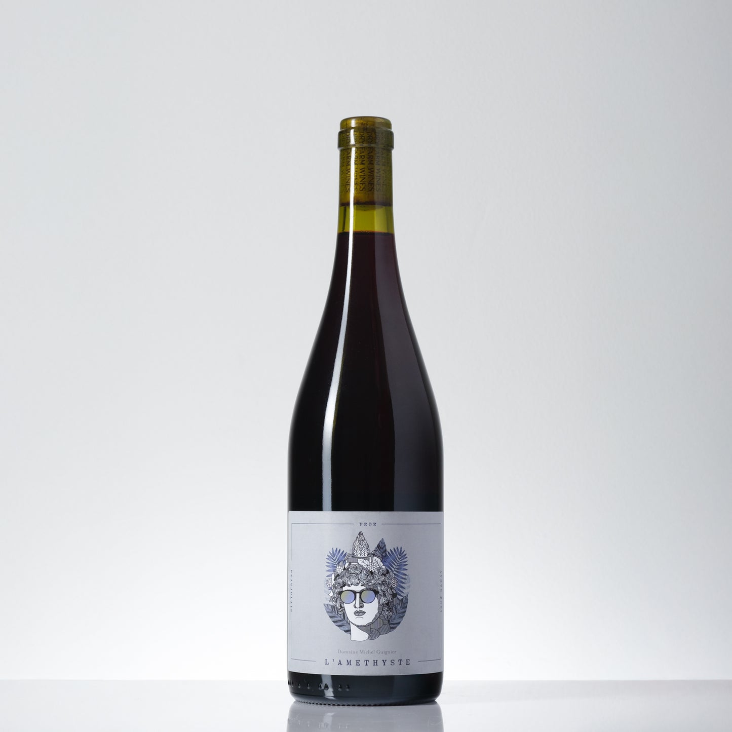 2024 Michel Guignier Beaujolais