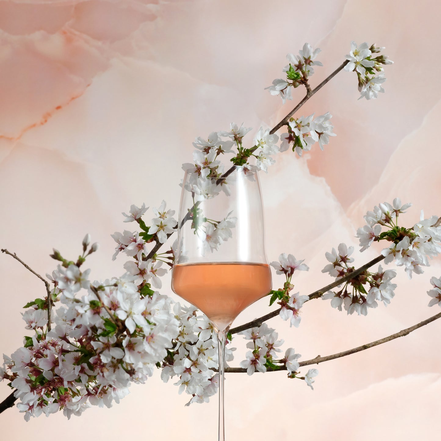 Chapter Three: A Season in Pink