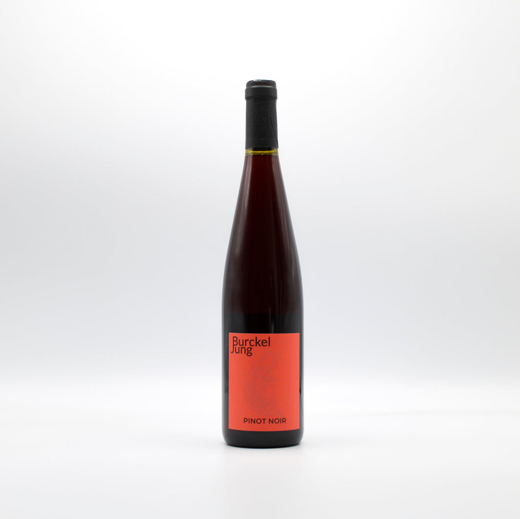2023 Domaine Burckel Jung Pinot Noir