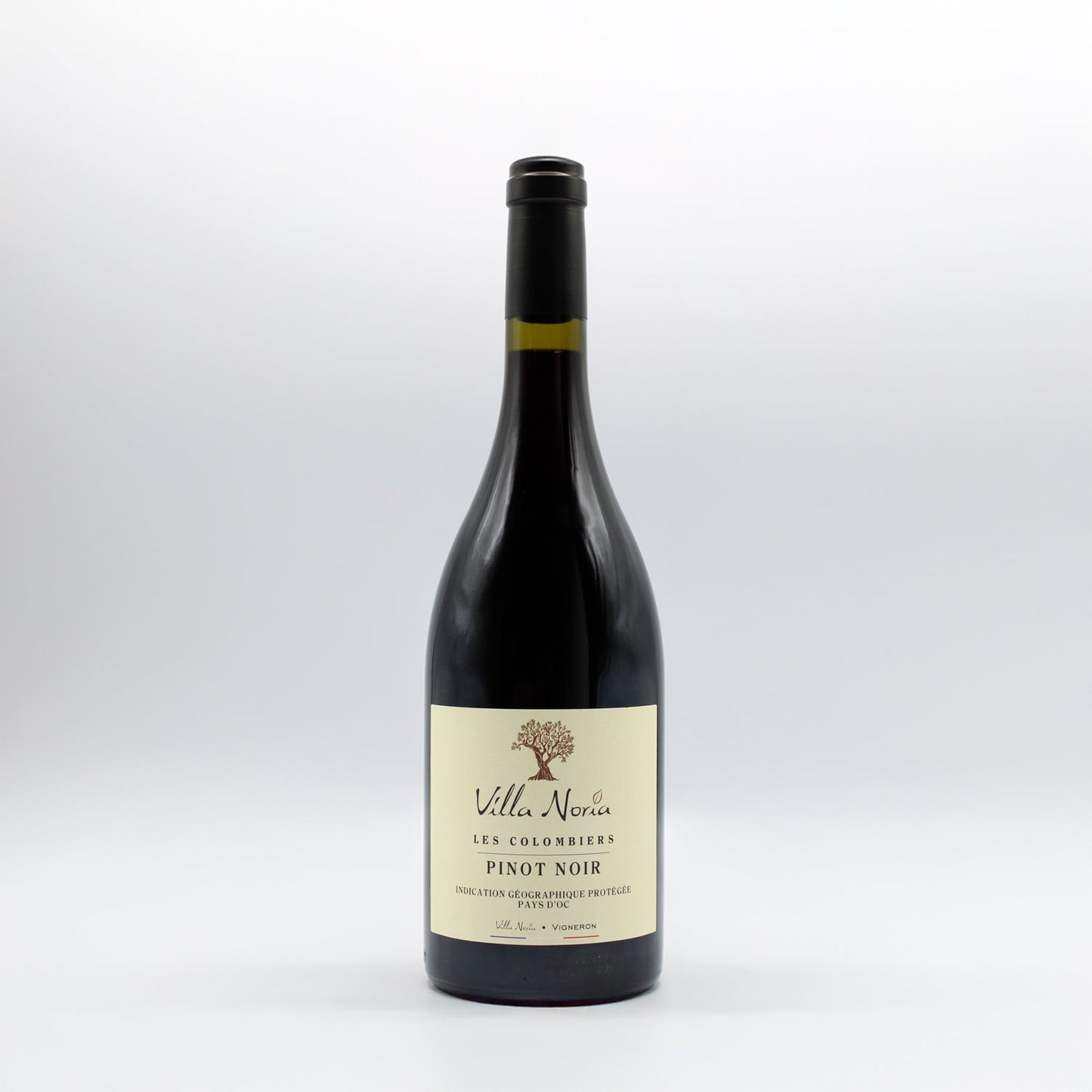 2024 Villa Noria Pinot Noir