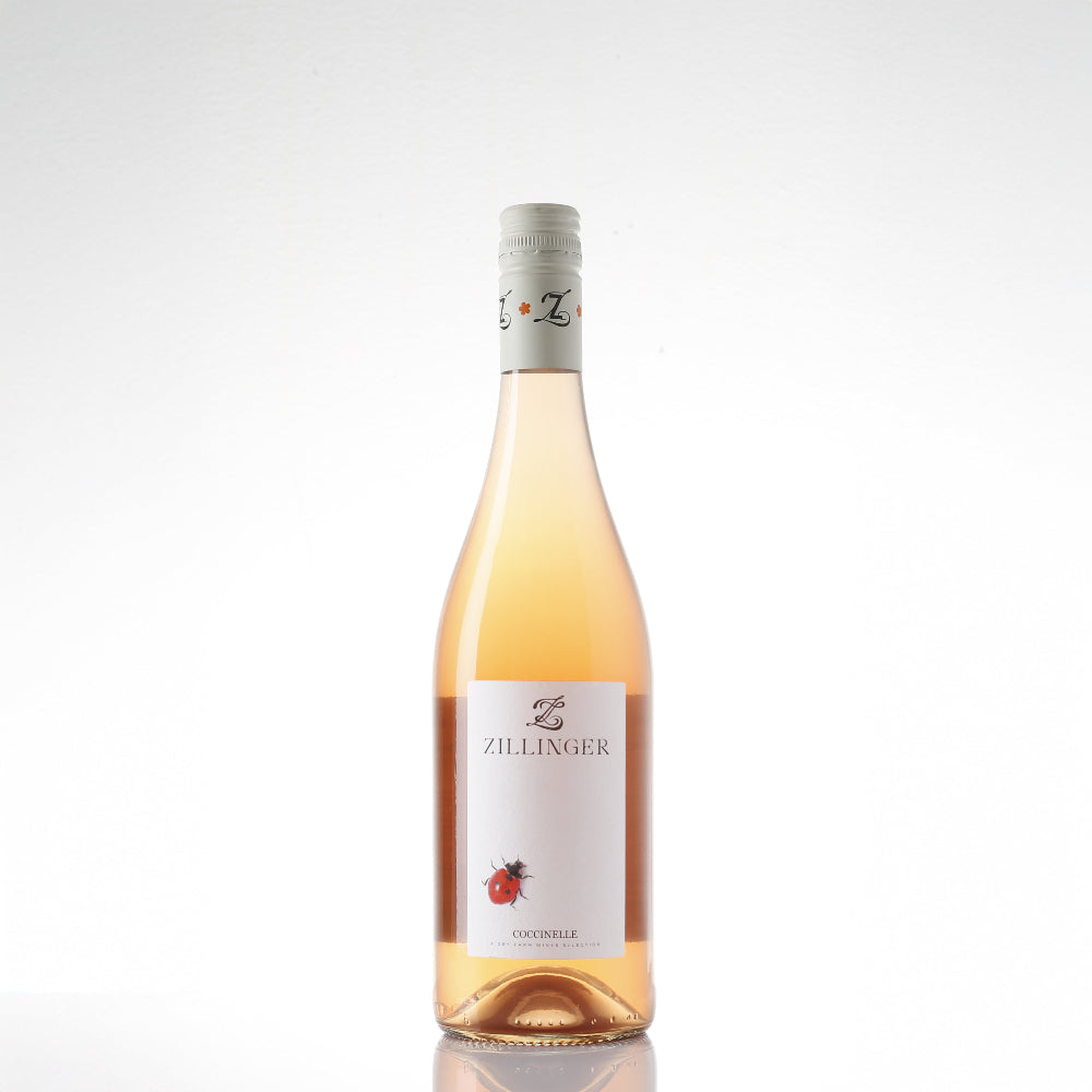 2023 Weingut Herbert Zillinger Coccinelle Rosé