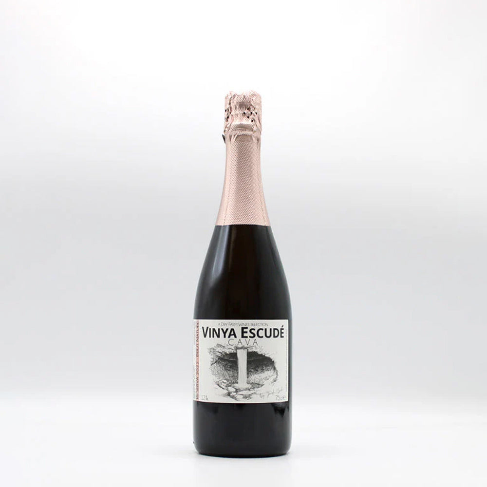 2022 Celler Jordi Lluch Vinya Escudé Xarel-lo Brut Nature