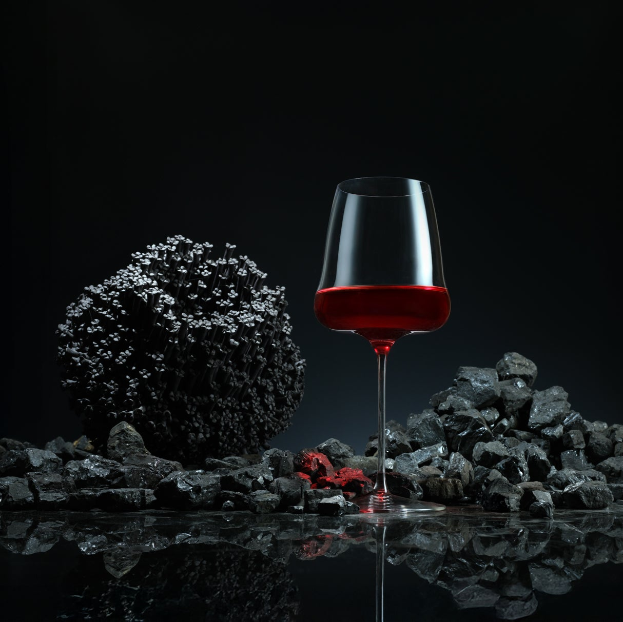 The Black Collection