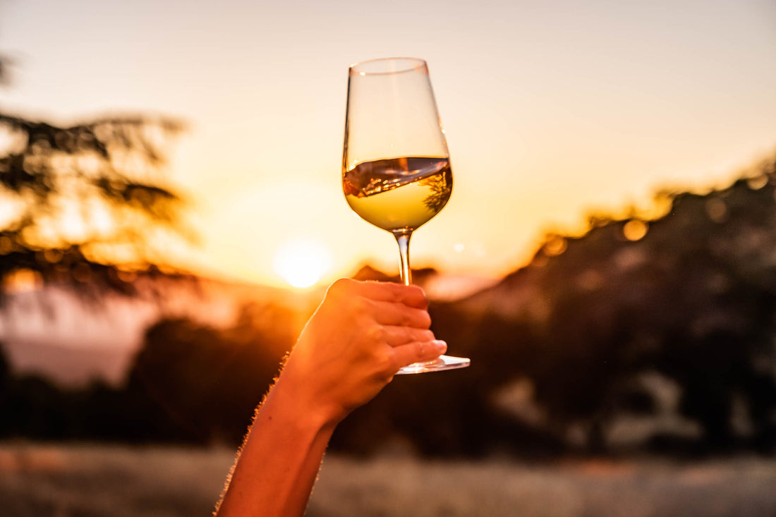 A glass of wine being held up against a landscape scene of the setting sun.
