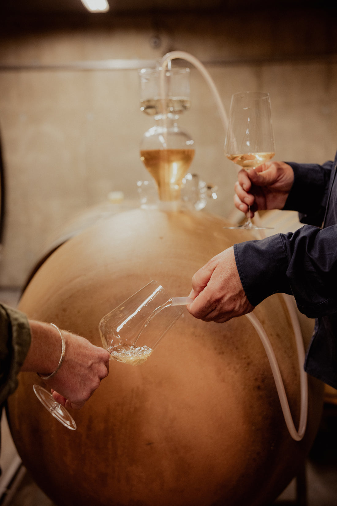 What Makes Chardonnay Taste Buttery?
