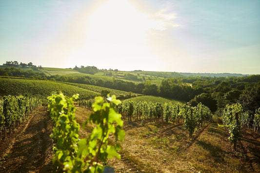 Loire Valley