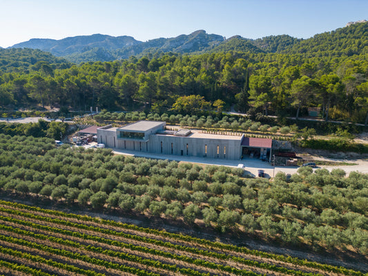 In Provence, the Word is "Light"