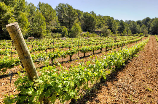 About Rioja