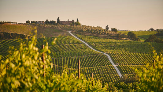 History of Chianti