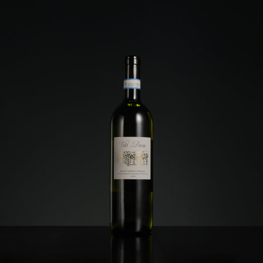 2024 Fidora Cantine Viti Doro Pinot Grigio