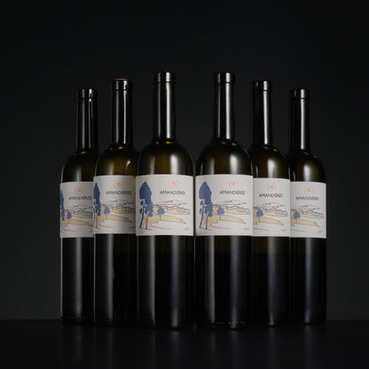 Row of wine bottles with labels on a black background
