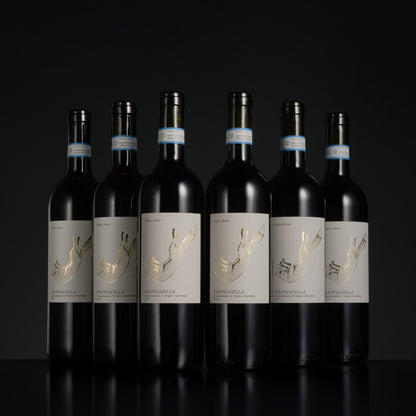 Seven bottles of wine with labels on a black background