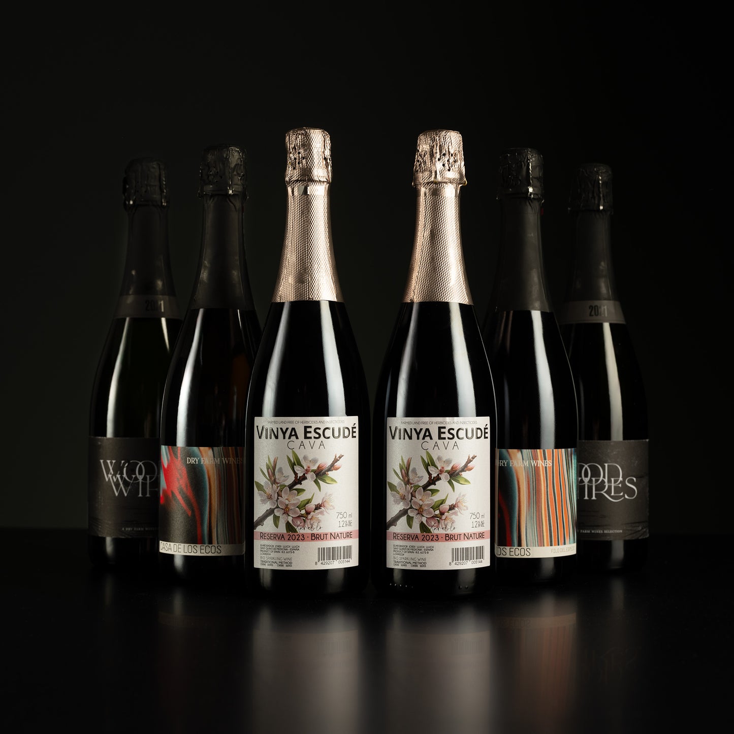 Six bottles of Vinya Escude wine with visible labels on a black background