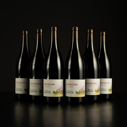 Row of Morgon wine bottles with labels on a black background