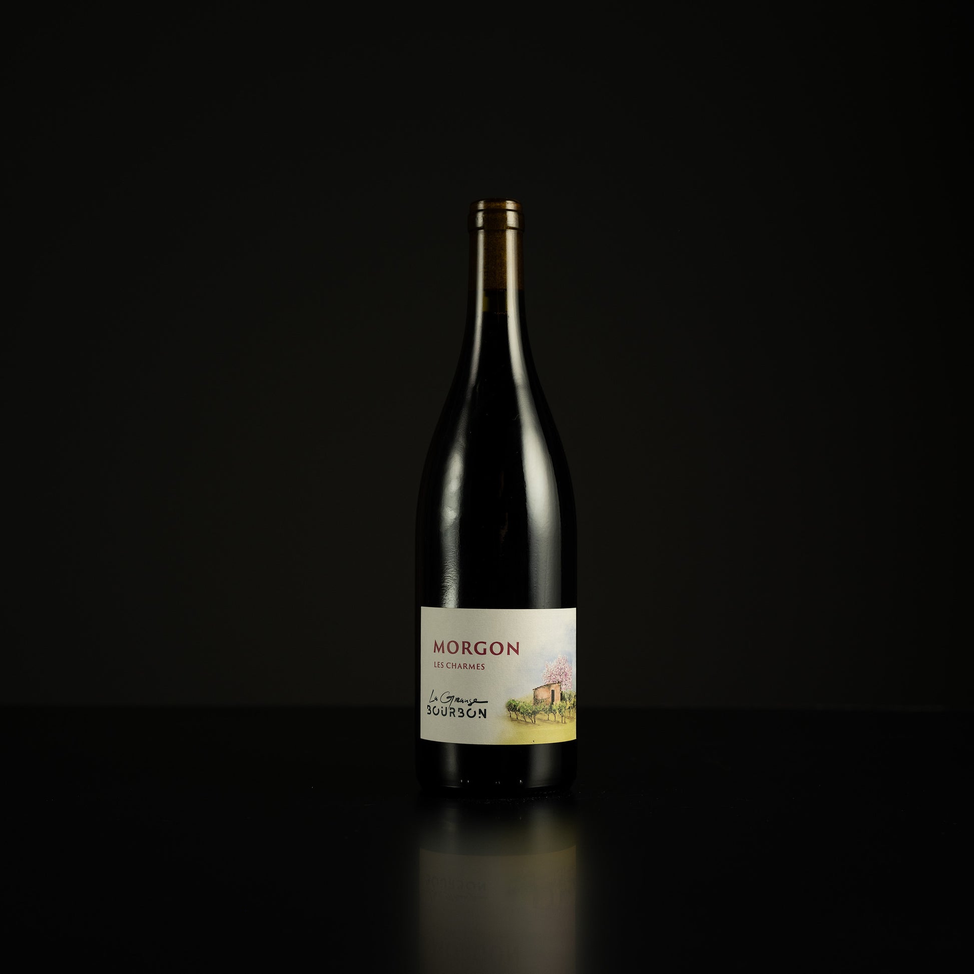 Wine bottle labeled 'Mérgon' on a black background