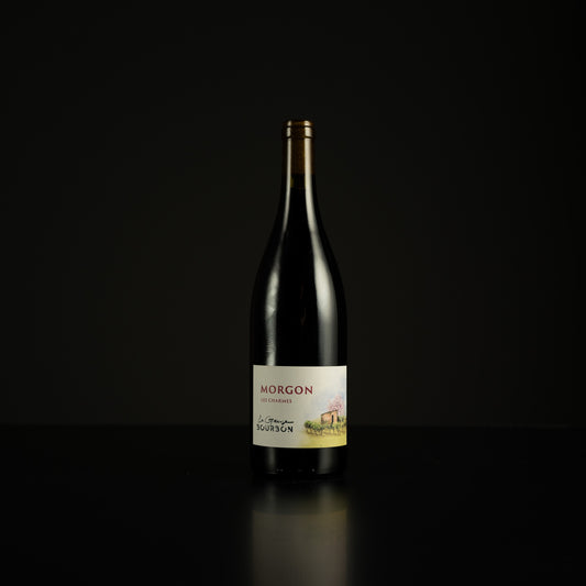 Wine bottle labeled 'Mérgon' on a black background
