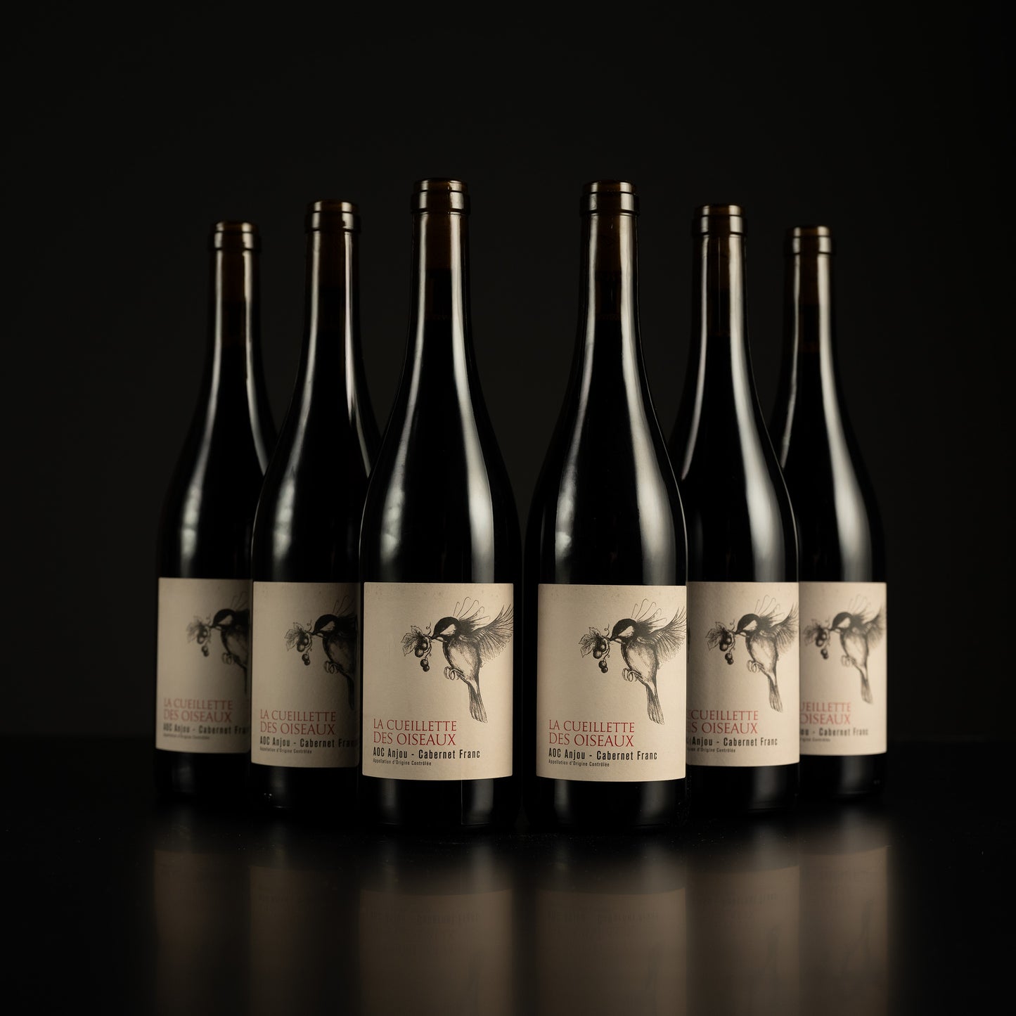 Row of wine bottles with labels on a black background