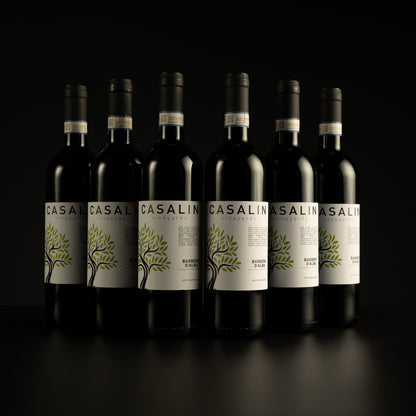 2024 Casalin Vineyards Barbera d'Alba