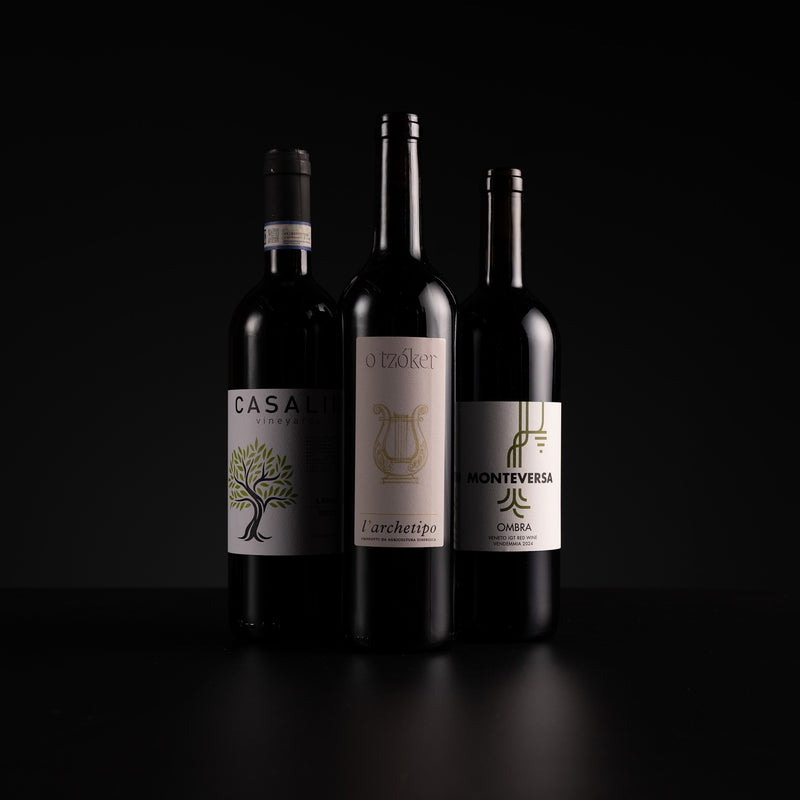 Three dark wine bottles with white labels stand against a black background. The labels show the brands Casale, L'Archetipo, and Monteverza.