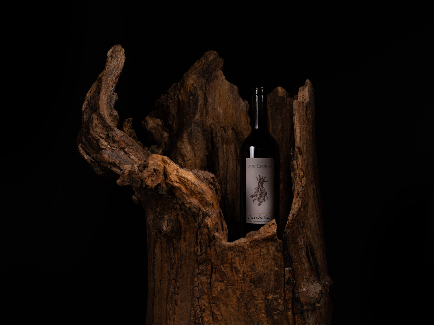A dark wine bottle with a white label stands nestled in a hollowed natural wood stump against a solid black background.