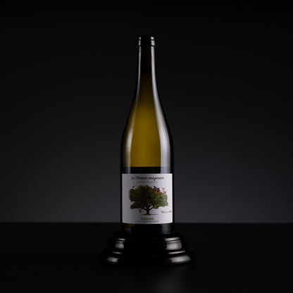 A single wine bottle with a white label featuring a tree illustration, displayed on a black stand against a dark studio background.