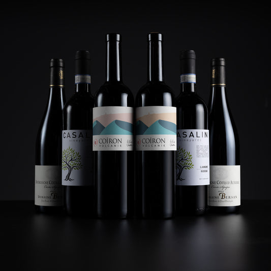 Six dark wine bottles arranged in a row against a black studio background. The center bottles have white labels with blue mountain graphics and the text 'A COIRON WINE CO'; the side bottles have white labels with green tree graphics and text including 'CASALINI' and 'BIRCHWOOD CREEK'.