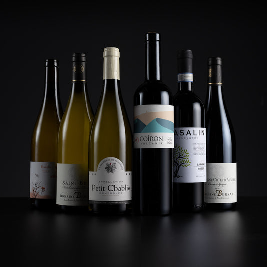 Six wine bottles arranged in a row against a dark studio background. The bottles include white, green, and red wines with visible labels such as Saint-Eudore, Petit Chablis, Coiron, Asalin, and Saint-Blasque.