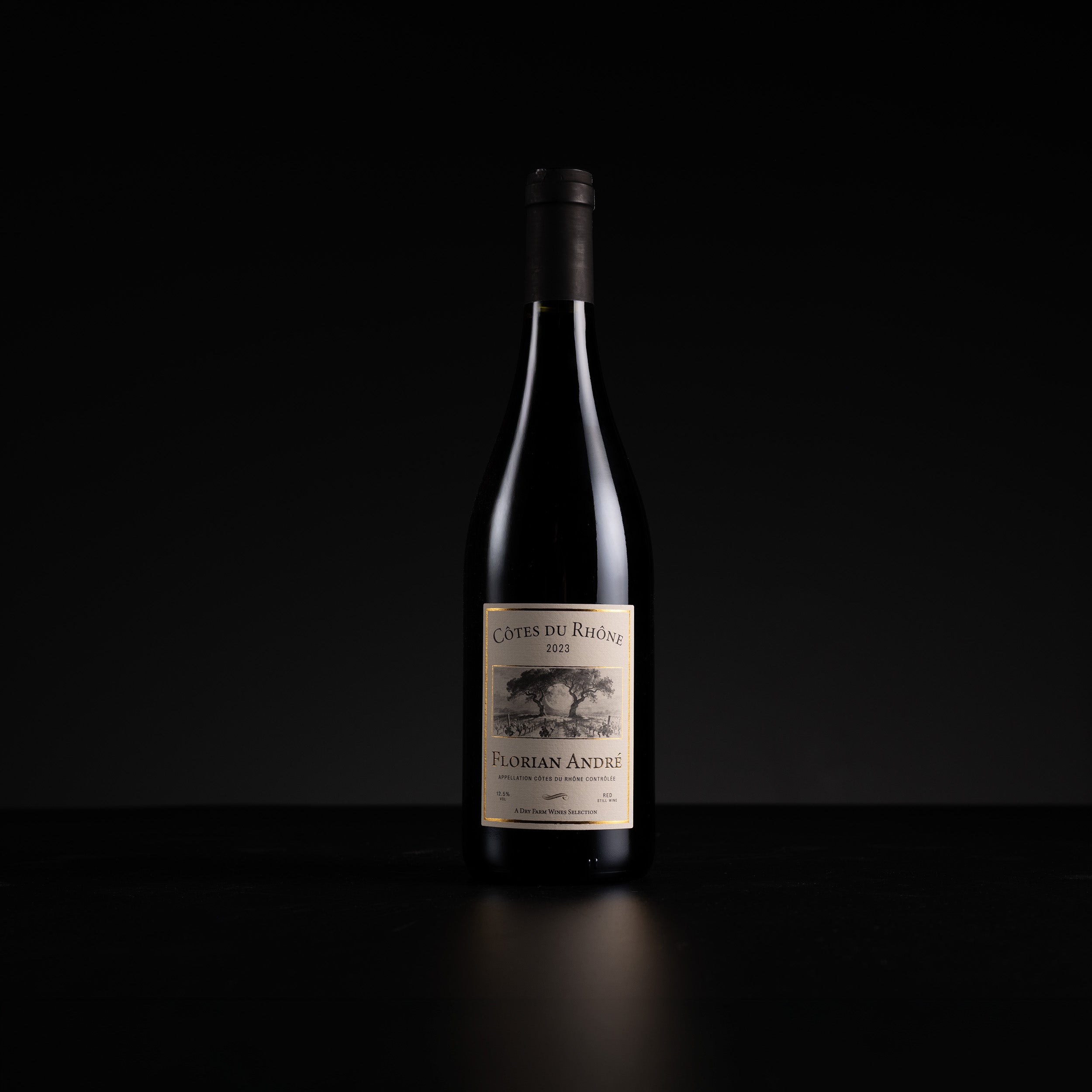 A single dark wine bottle with a cream-colored label reading 'Caves du Rhinings 2023 Florian Andrei' stands centered against a solid black background.