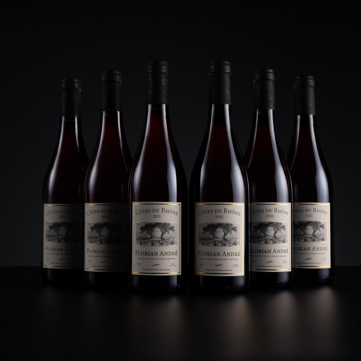 Six bottles of Côte de Rhin Alsace Florian Angore red wine arranged in a row against a dark black background.