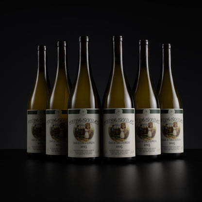 Six bottles of Rives-Soulères Chasselas et Châtain 2025 white wine arranged in a row against a dark black background.