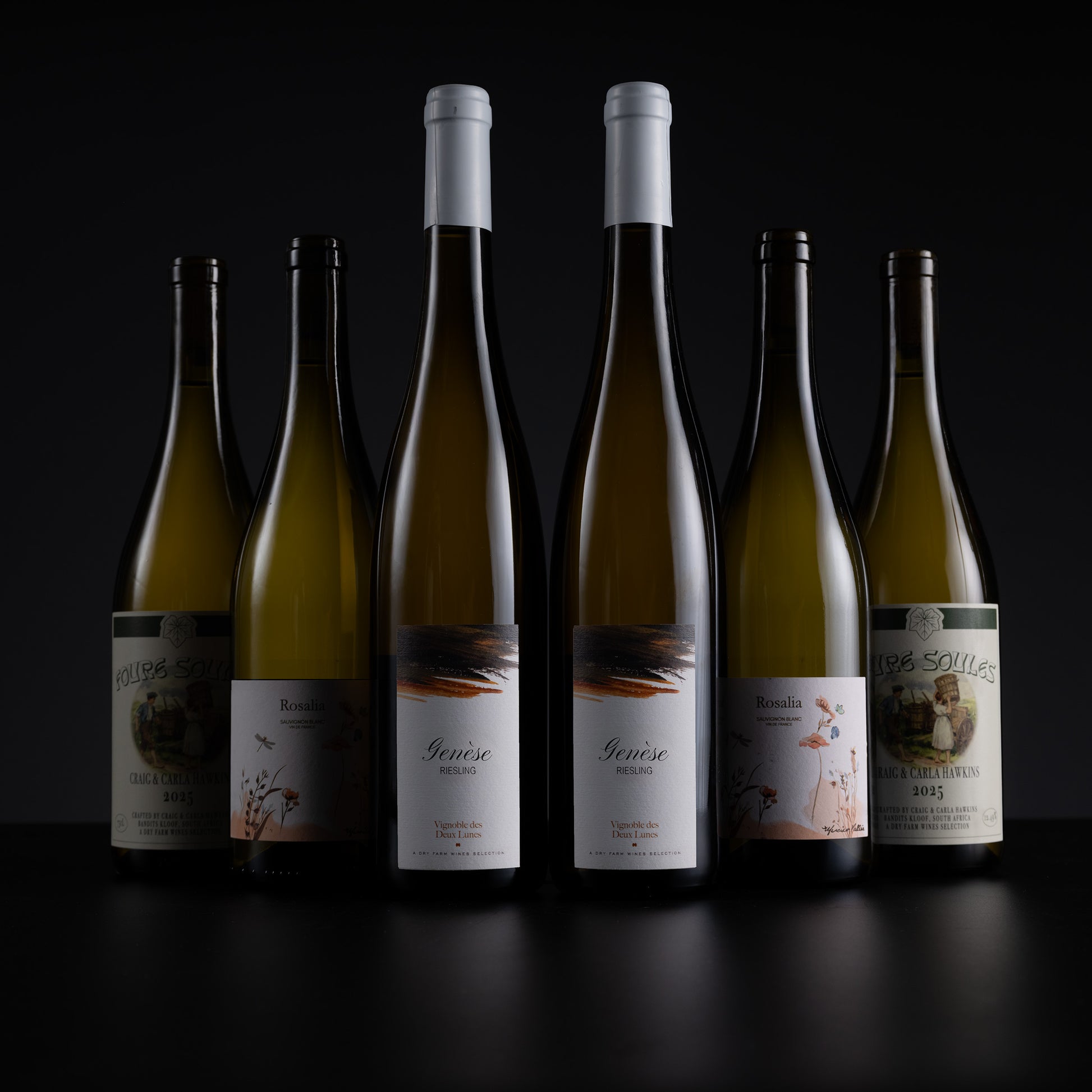 Six wine bottles arranged in a row on a dark surface against a black background. The bottles are mostly dark green glass with white and cream labels, and two have white capsule caps while four have black caps.