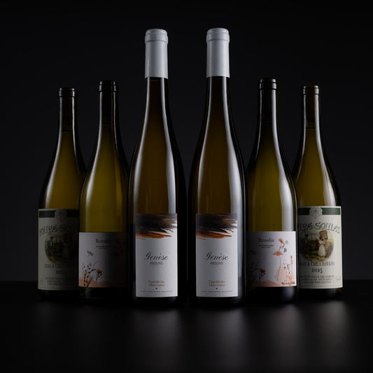 Six wine bottles arranged in a row on a dark surface against a black background. The bottles are mostly dark green glass with white and cream labels, and two have white capsule caps while four have black caps.